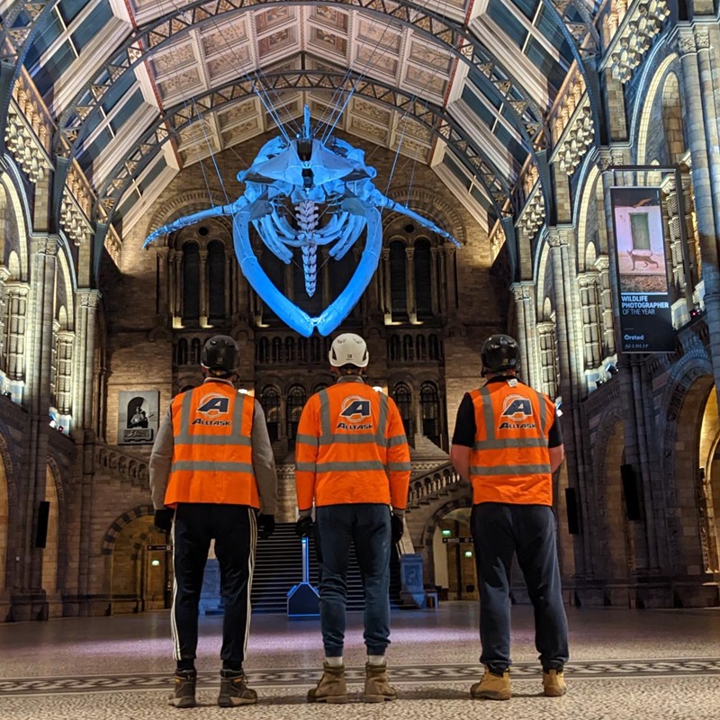 Natural History Museum Scaffolding