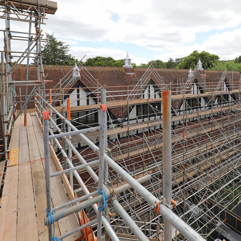 Scaffolding Natural History Museum Tring