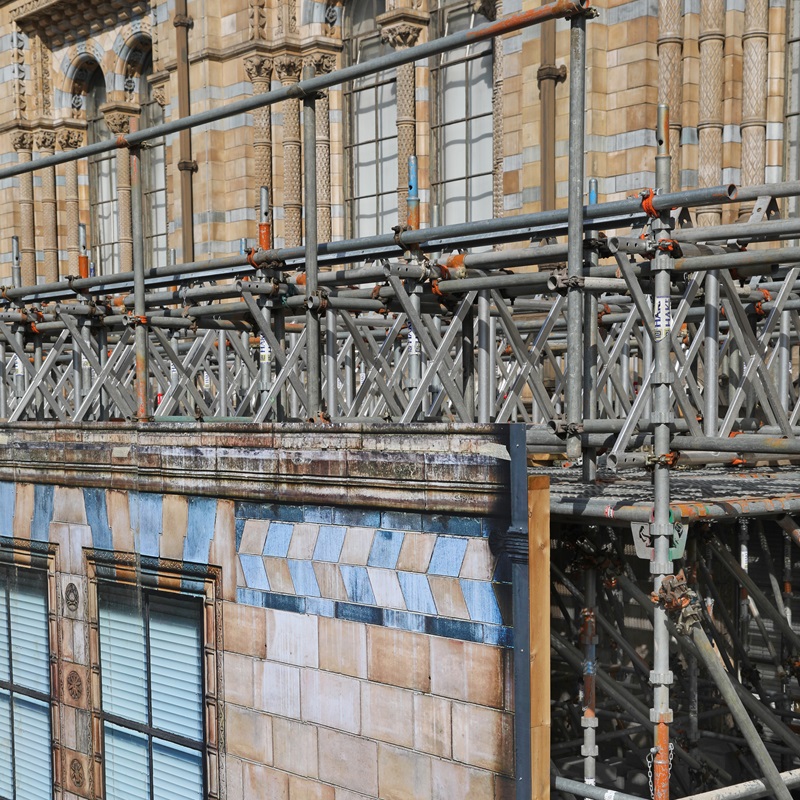 Scaffolding Design Natural History Museum