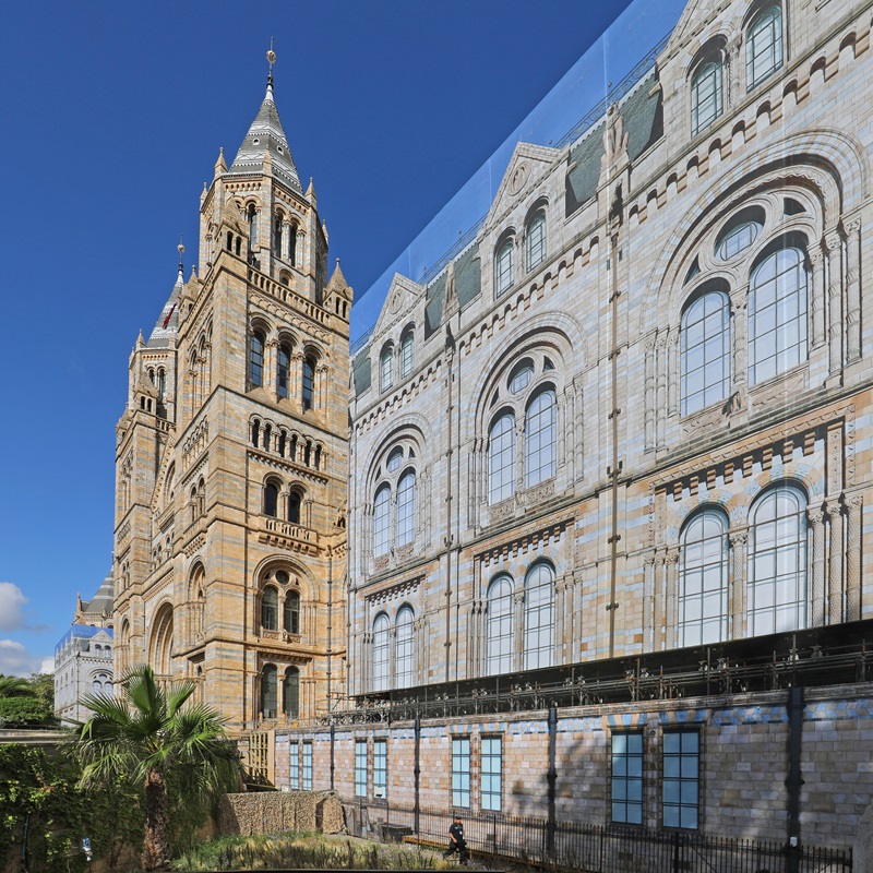 Scaffolding Listed Building Natural History Museum