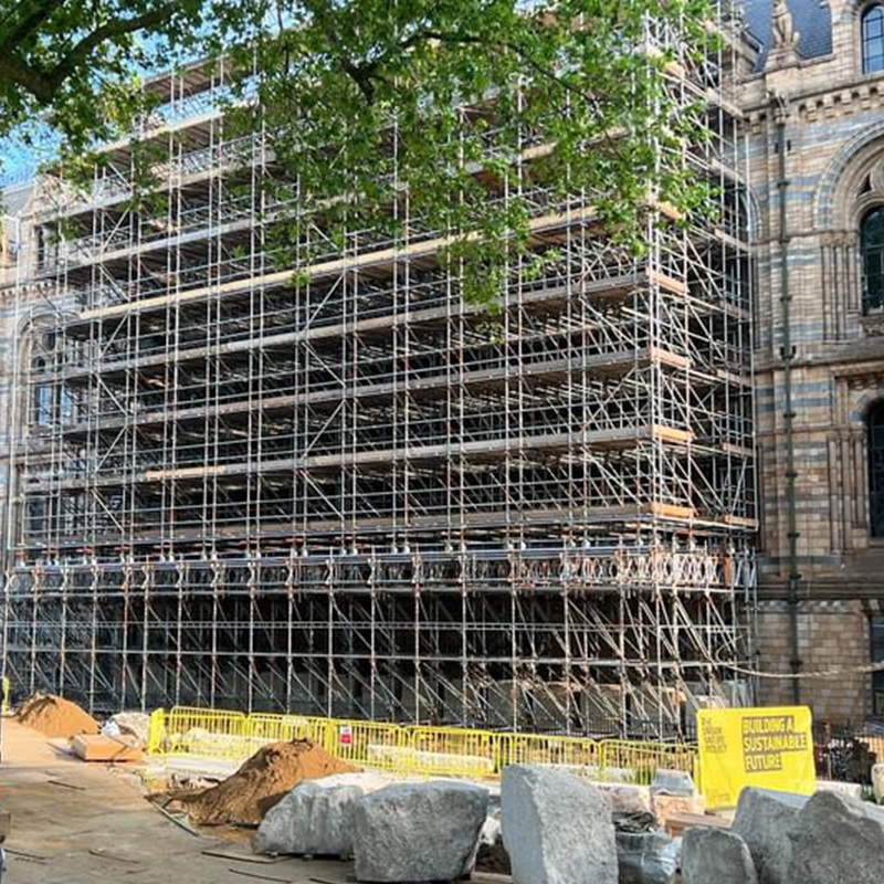 Scaffolding Rolling Birdcages Natural History Museum